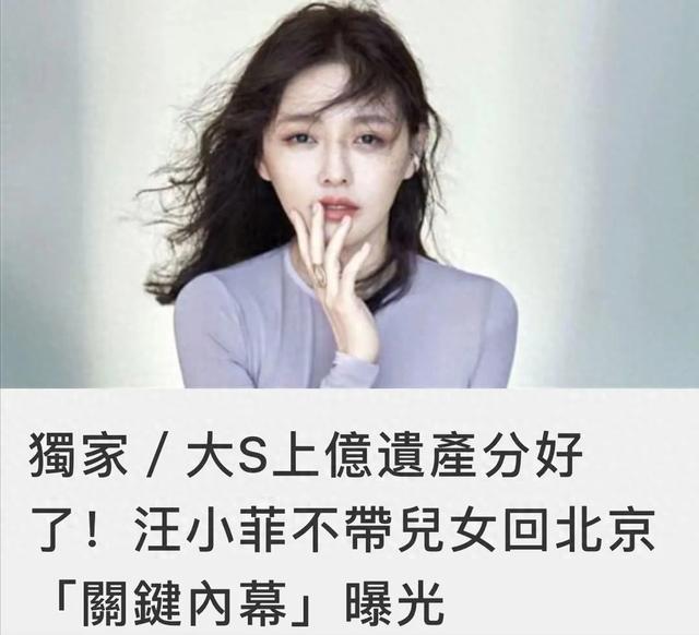 大S遗产惊爆反转！新婚夫独吞半亿？保姆怒撕内幕！