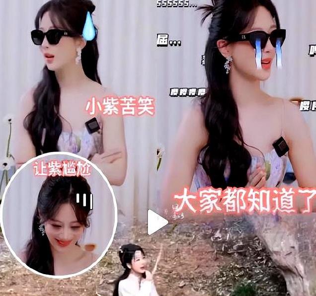 赵丽颖杨紫肖战，内娱地震！流量时代，明星还能守住真心？