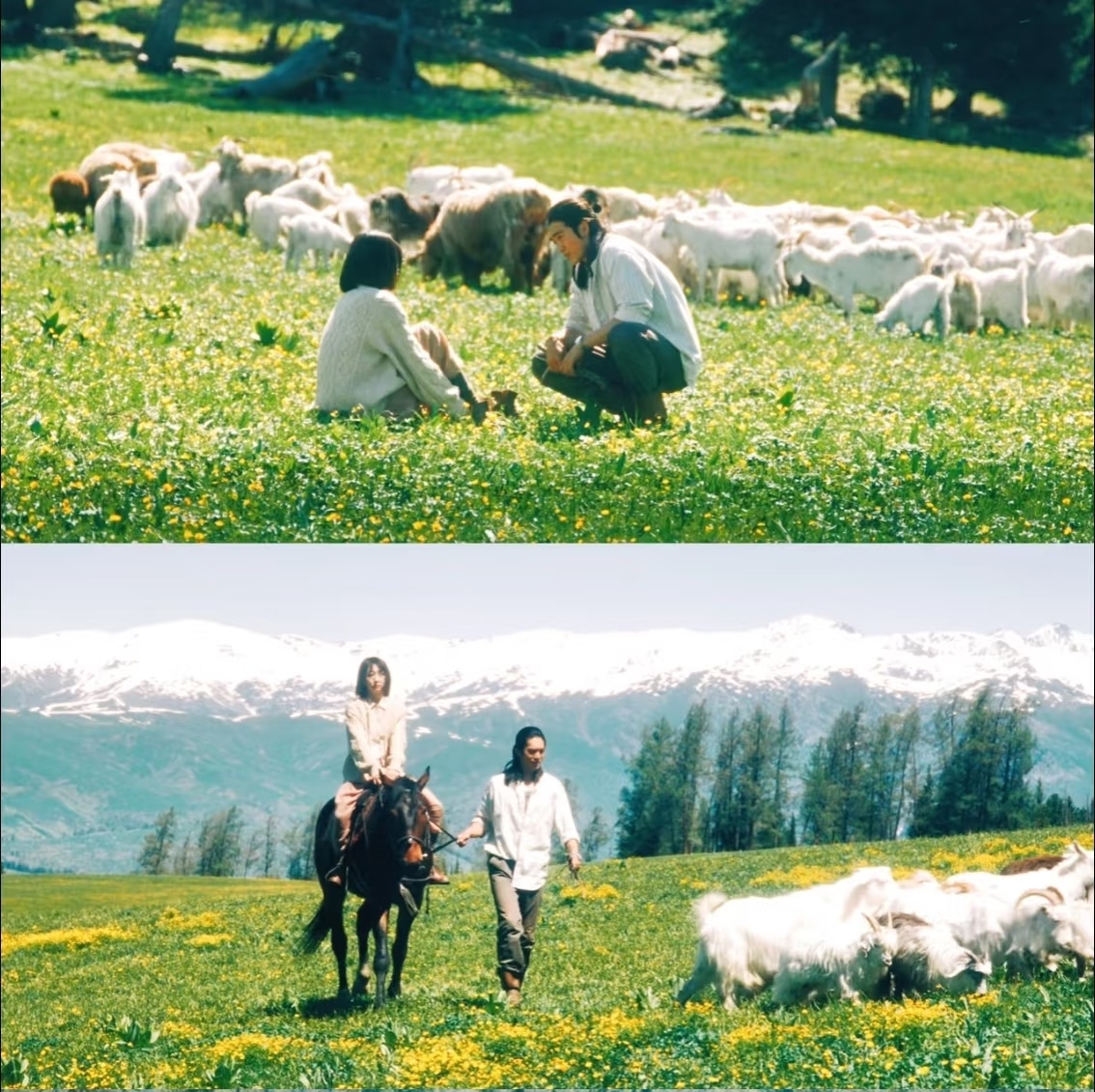 搭档完檀健次又合作肖战？网友:她才是真正的“男神收割机”吧!