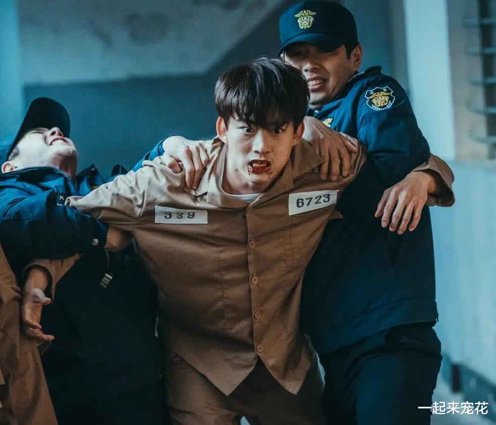 好评如潮的4部韩剧,全程高能看点十足,你看过几部呢?