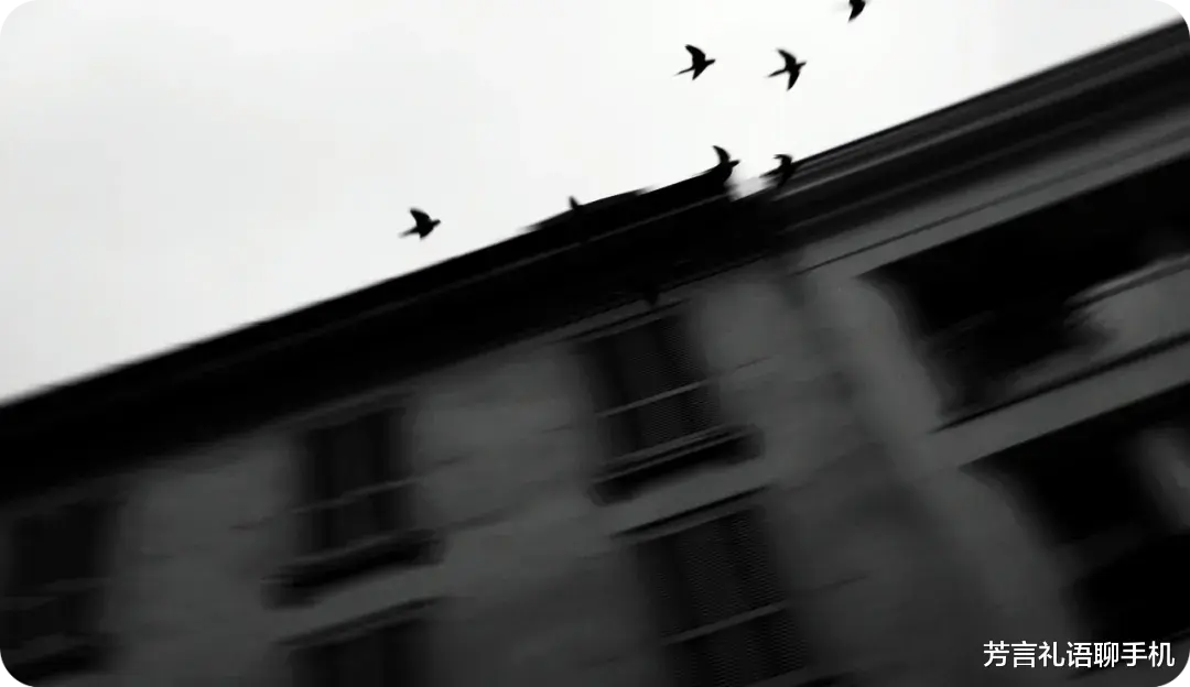 下半年這波旗艦新機潮，超預期的驚喜終于來了