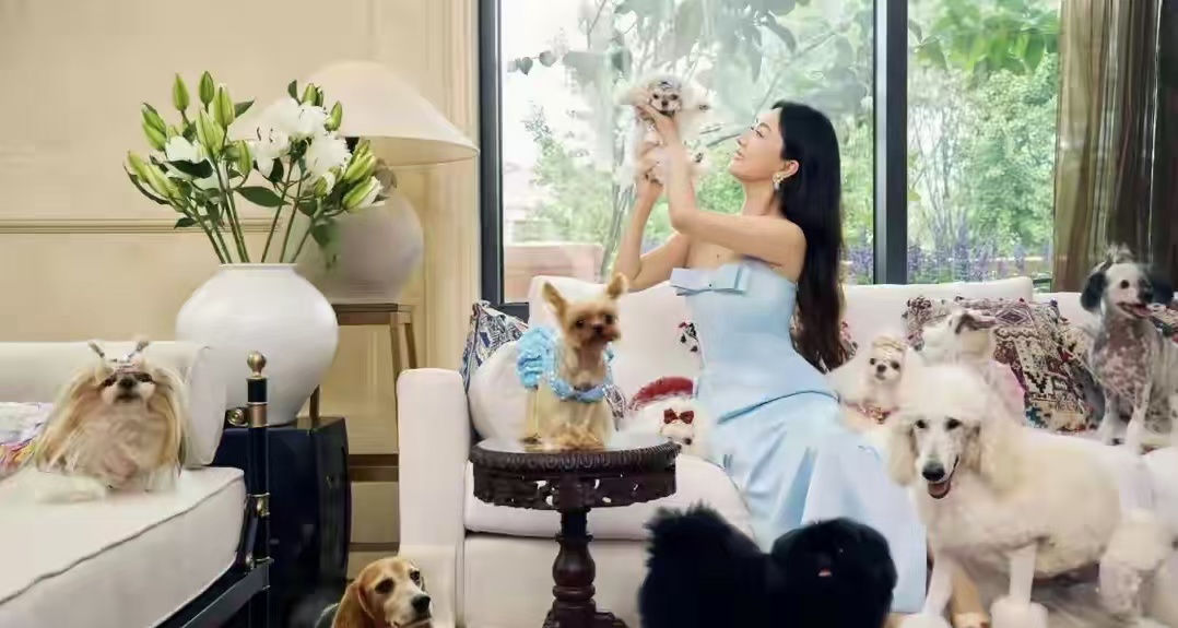 霍思燕身穿红旗袍惊艳欧洲！带爱犬为国夺冠，唯一的中国队