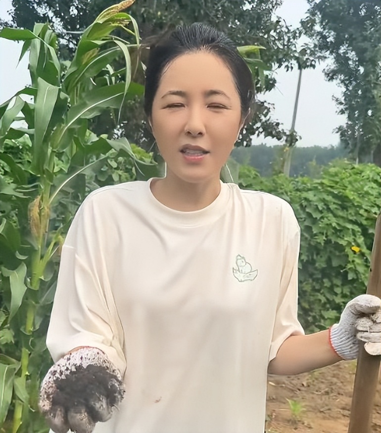 48岁曾黎回老家种地！满脸褶头发花白断崖衰老，徒手摘黄瓜像农妇