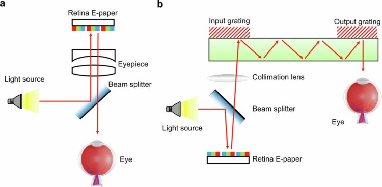 墨水屏或迎來大升級，隱形眼鏡大小屏幕可容納4K分辨率，效果驚人