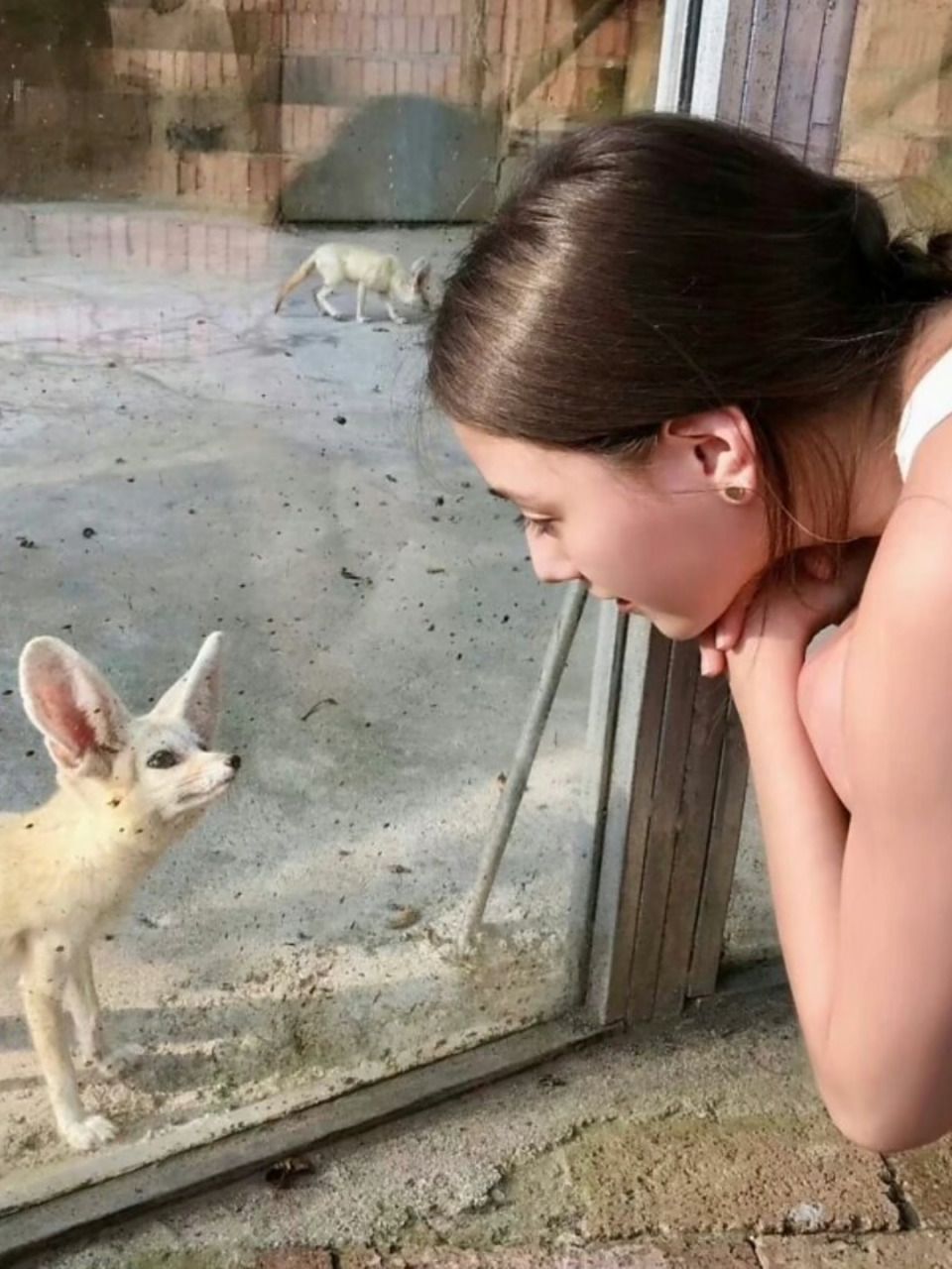 霍启山恋情被曝!女方是封神“妲己”,立场惹争议,恐难嫁入豪门