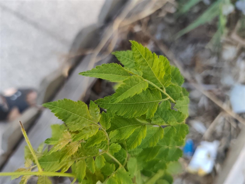 Redmi Note 15 Pro+評測：這才是真正的耐用實戰之王