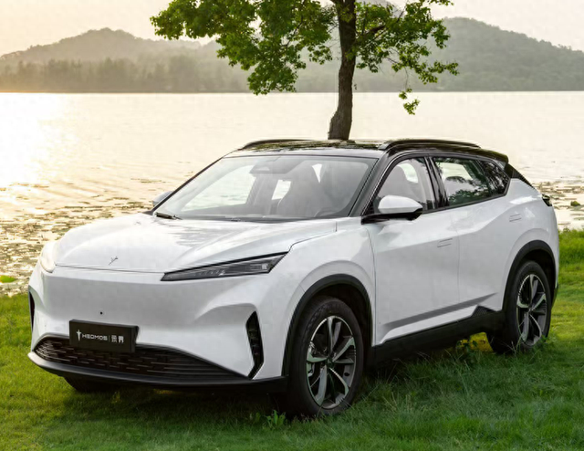 新车上市月销仅134台,\神龙\摆尾不成,成\摆烂\了?