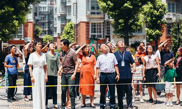 3月8日央视1套、央视8套及卫视电视剧排播