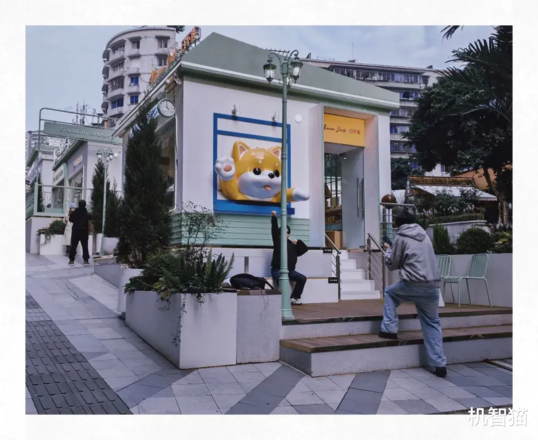 榮耀500 Pro測評：這不就是“iPhone Air Pro”？