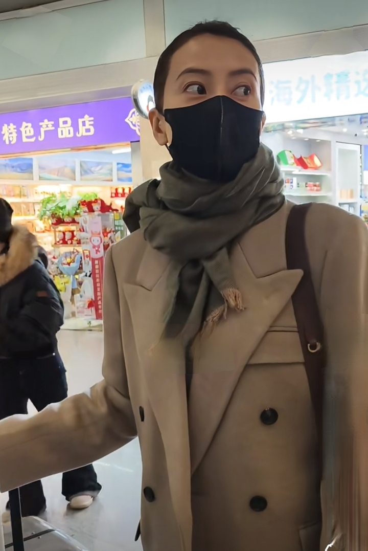 高圆圆机场路透,盘发搭驼色大衣,美貌与气质并存