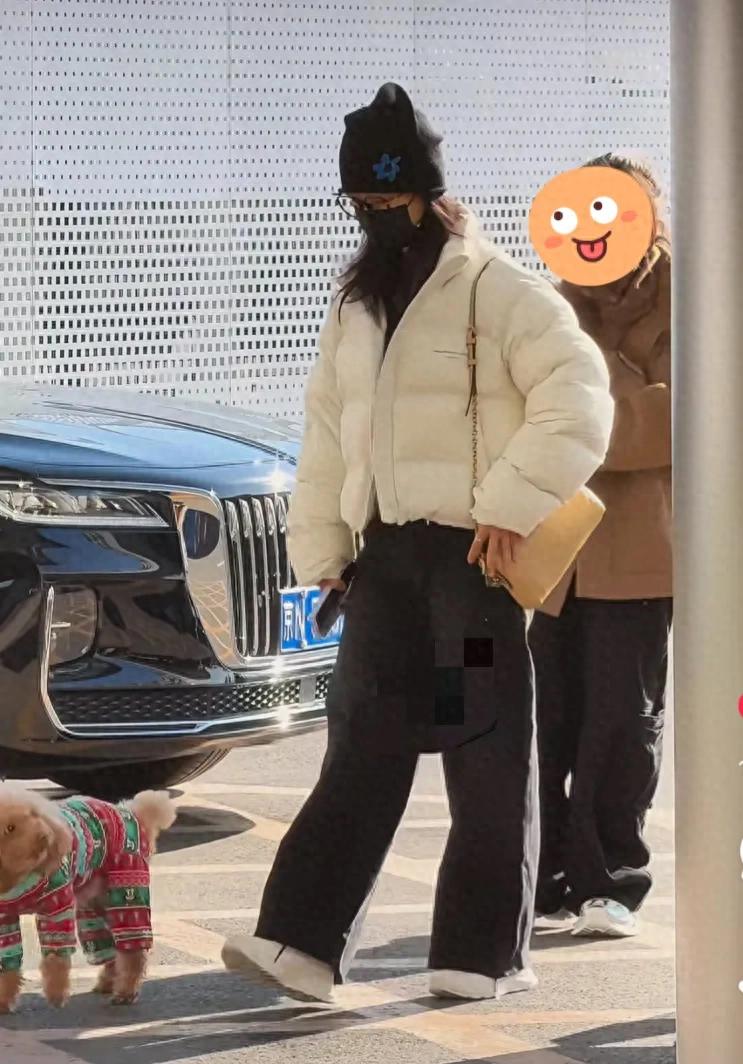 杨紫出发进组拍戏，狗狗前来送别难舍难分，一身休闲穿搭被种草了