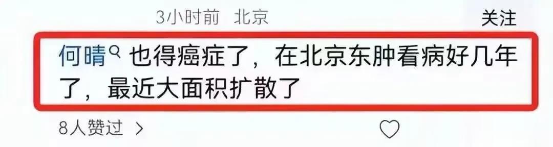 何晴患癌住院照曝光！面容憔悴浮肿严重，好友透露其生前最大遗憾