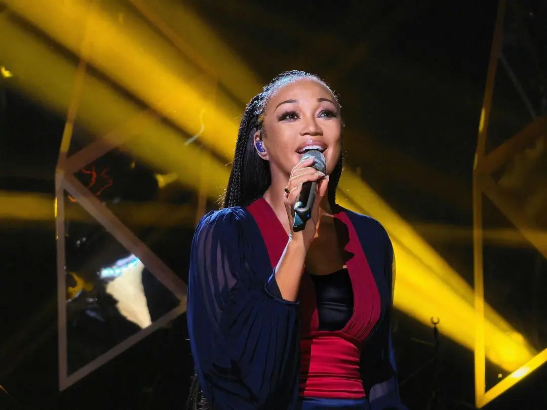 这些上过《歌手》的海外歌手,现在怎么样了?