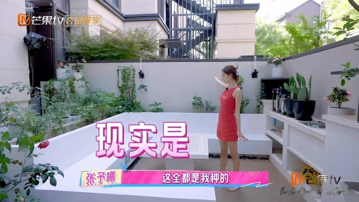 我家那闺女2025,嘉宾房子大公开!有的壕,有的破旧,孙怡家最意外