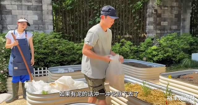 郑恺妻子苗苗好完美!用3个月打造菜园,亲自种菜养鸡发酵鸡屎