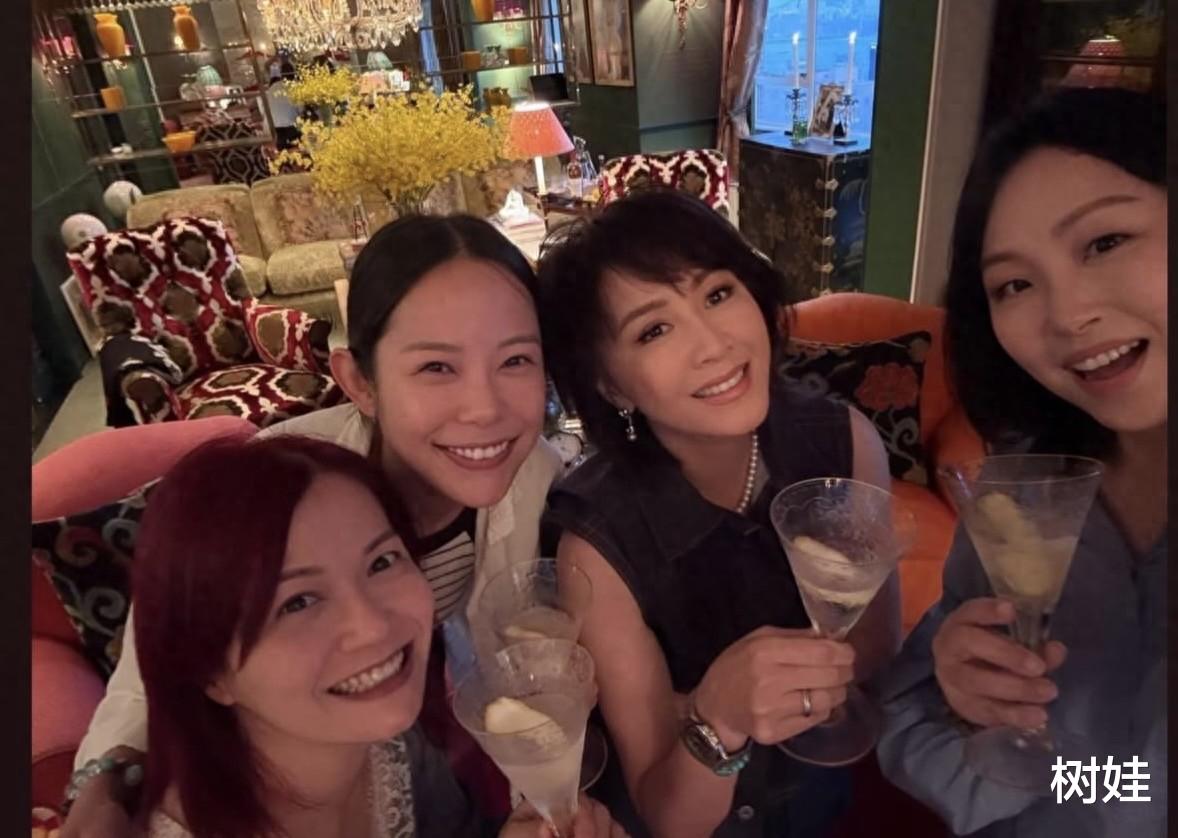 黄子华在刘嘉玲豪宅庆生,苏玉华夫妇也在,众人首次做客赞叹不已