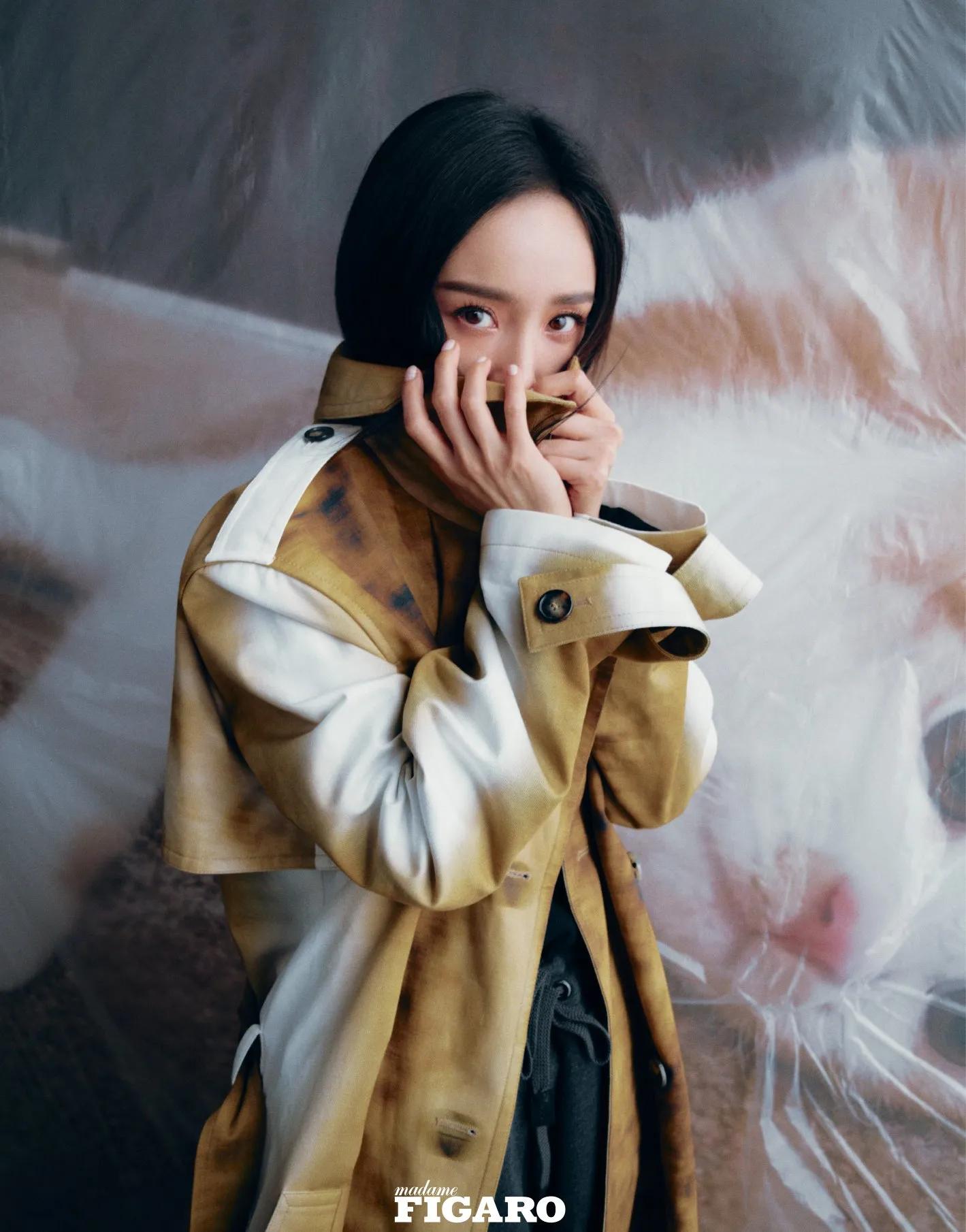 杨幂费加罗写真美图