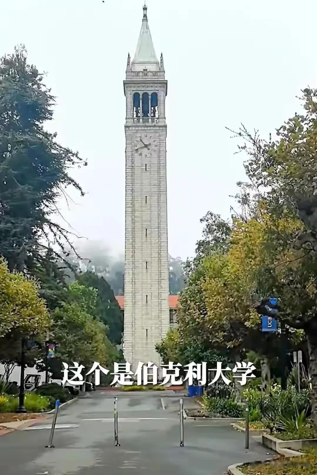 张庭林瑞阳赴美见儿女，儿子身高直逼180，女儿颜值竟被全网吐槽