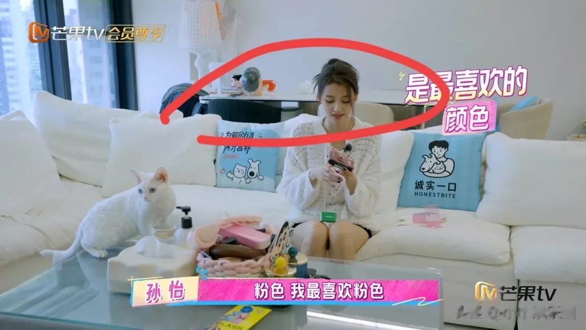 我家那闺女2025,嘉宾房子大公开!有的壕,有的破旧,孙怡家最意外