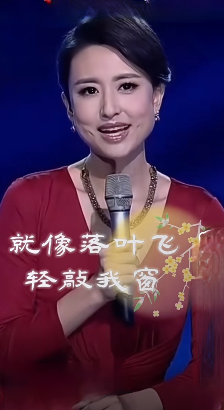 张蕾红裙优雅主持，气质美貌尽显