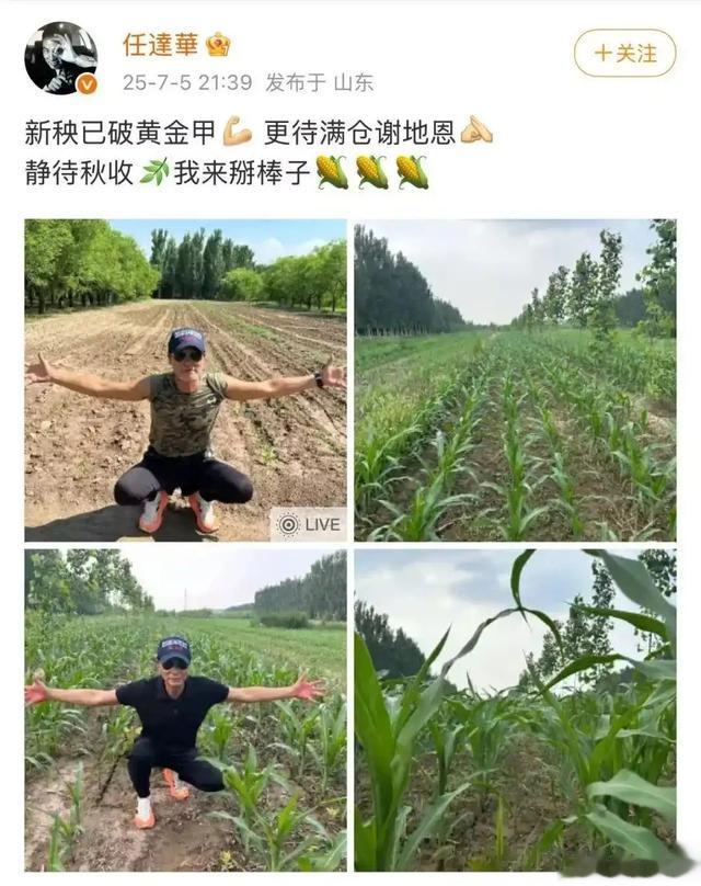 70岁任达华现状，收完麦子又来种玉米，“影帝”农忙季也得回家