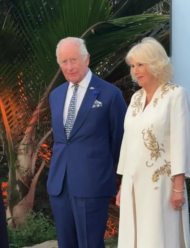 李湘带女儿面见英国皇室,对王后赔笑遭白眼,连发四条动态被群嘲