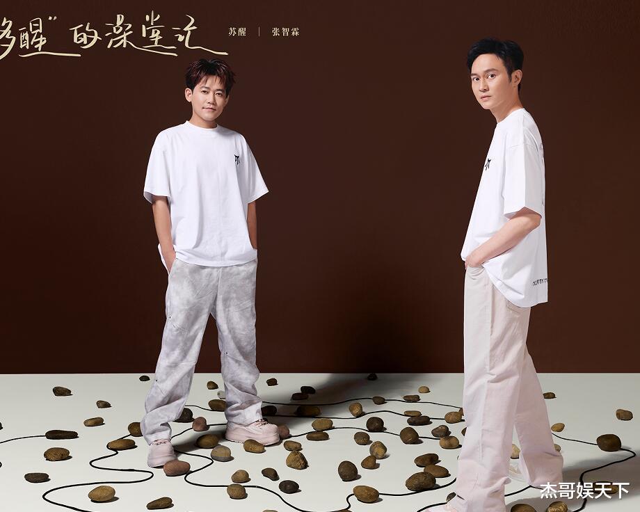 苏醒和张智霖这一跪，让《披哥5》彻底被打脸