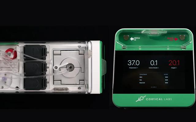 20 万一台的「人脑计算机」,可能是人类战胜 AI 的唯一方式?