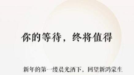 千萬條反饋背后的真誠：鴻蒙生態給用戶的“新年答卷”