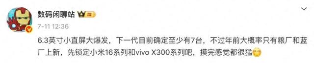 小米vivo領銜，小直屏大爆發 至少7臺