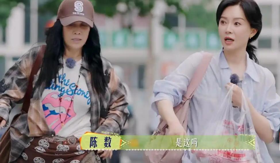 陈数怕冷拔掉空调电源，室友那英热到狼狈不堪，网友说：精致利己