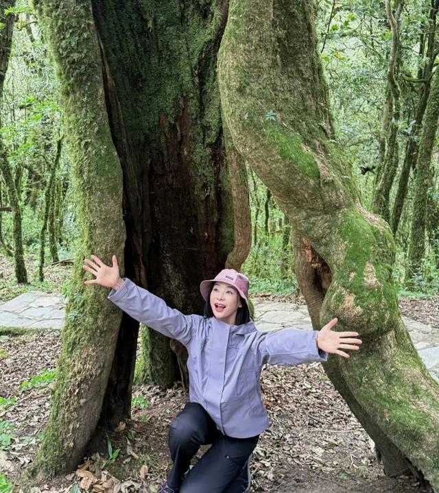 天啊,这居然是袁珊珊猛一看还以为是杨紫呢!