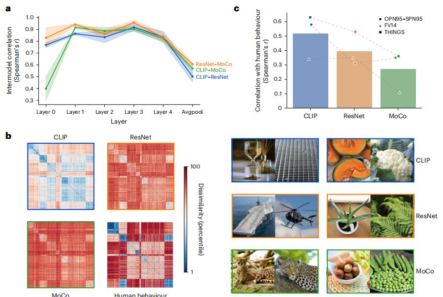 北大AI研究顛覆認知：我們看到的不是真實，是被語言潤色過的現實