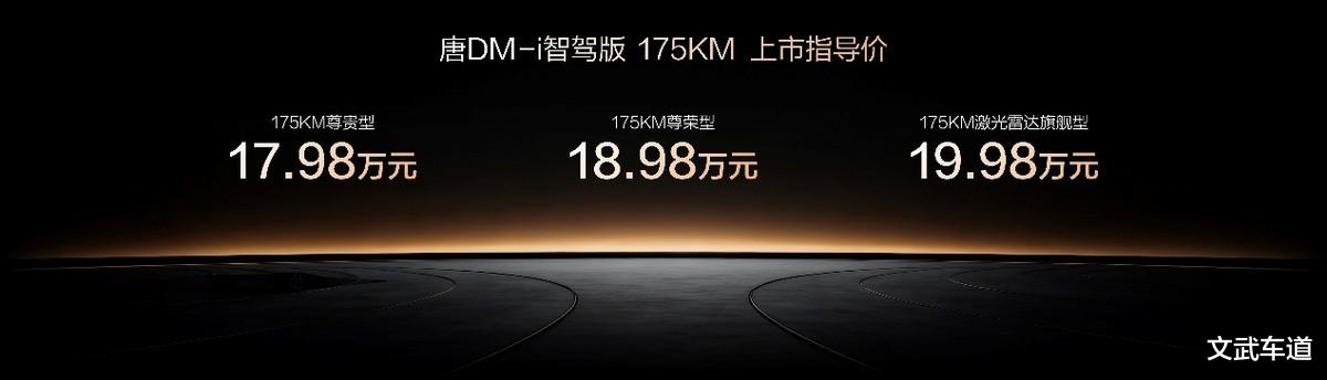 唐DM-i 175KM版上市,置换补贴后16.98万起,引领家庭出行新时代