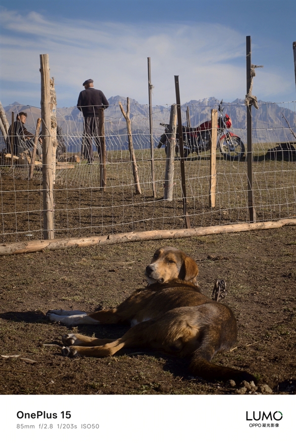 一加15首次搭載OPPO LUMO凝光影像：有史以來拍照效果最好的產品