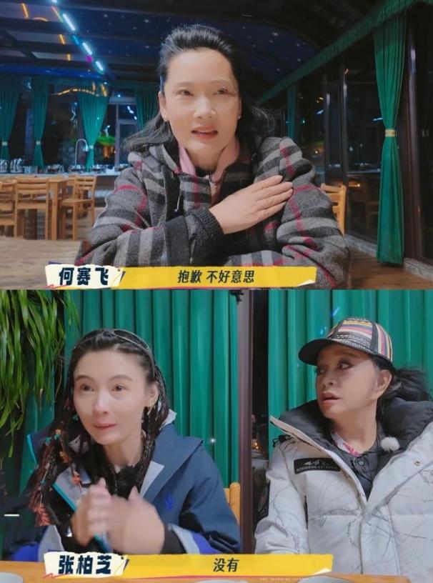 祸从口出？催生刘嘉玲、\内涵\张柏芝的何赛飞，让内娱沉默