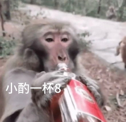 看到這4億像素的直屏新機后，我不想要新iPhone了