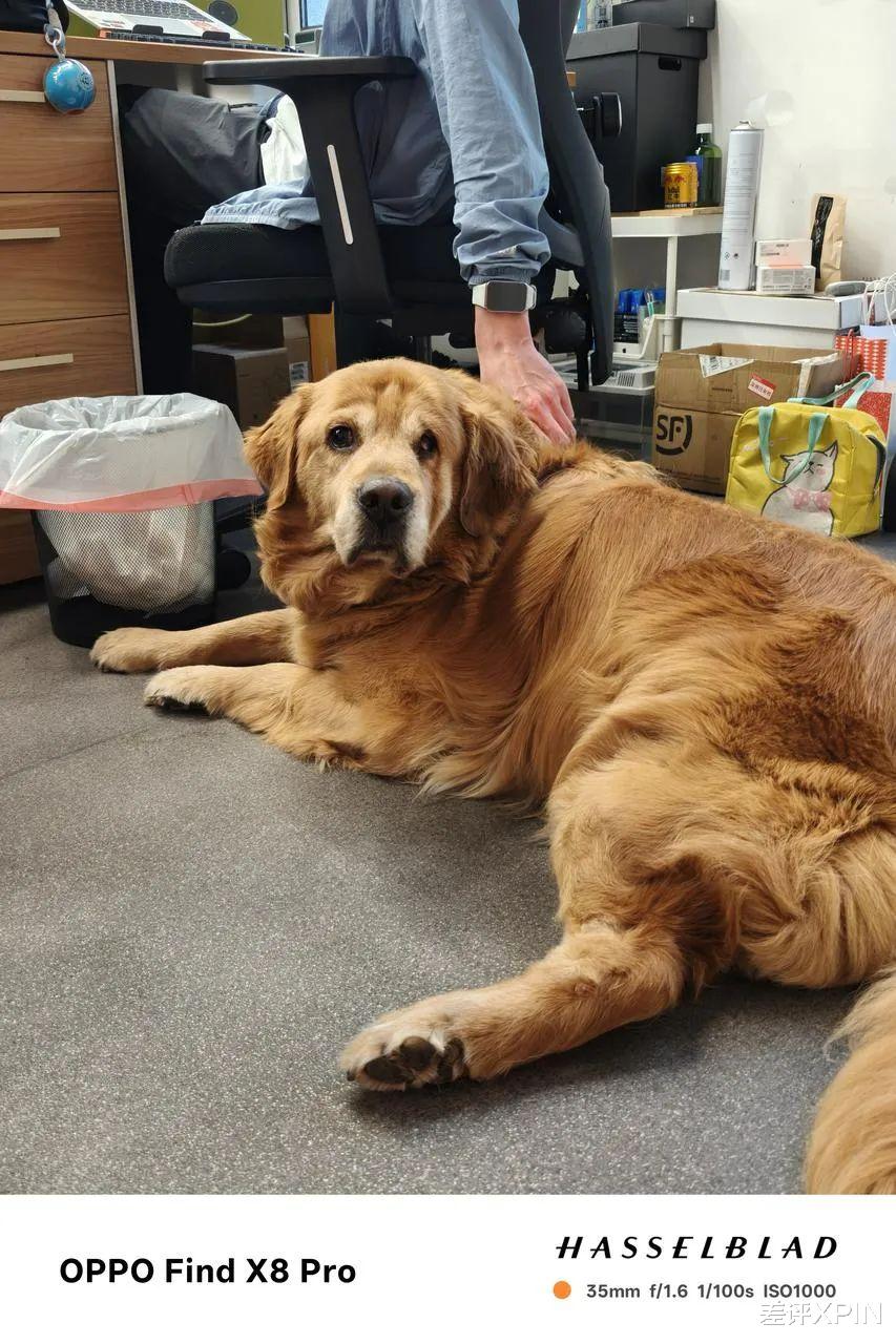 榮耀發布了一臺8999的折疊屏，這次又多了不少小心機