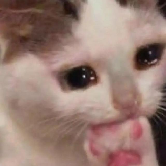 聽網友勸造的手機，遲早得涼涼嗎？