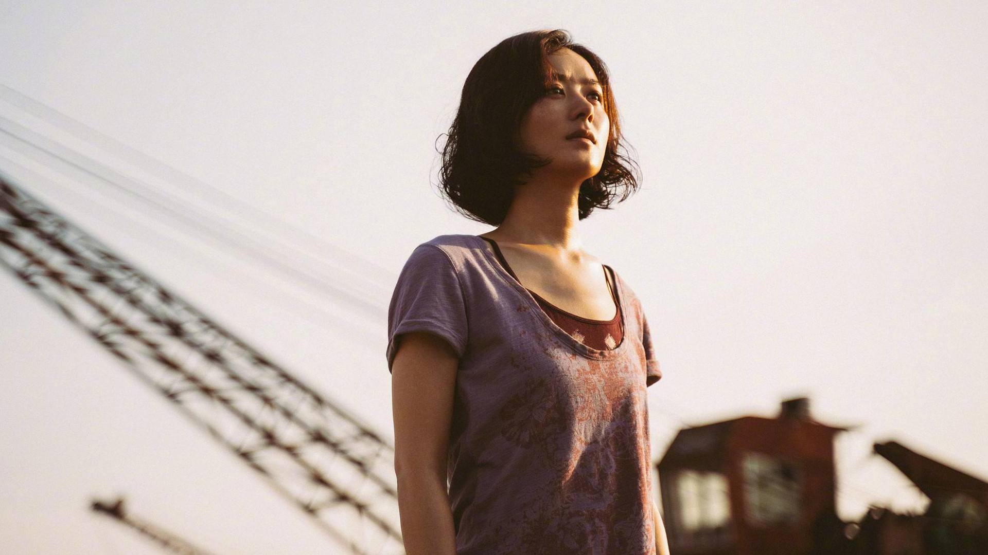 赵丽颖助力，《向阳·花》却依然救不了冯小刚！