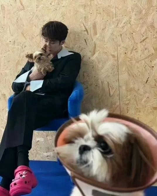 2025顶级美男出炉，肖战登顶，檀健次15成毅13李现10酷盖3于妲己2