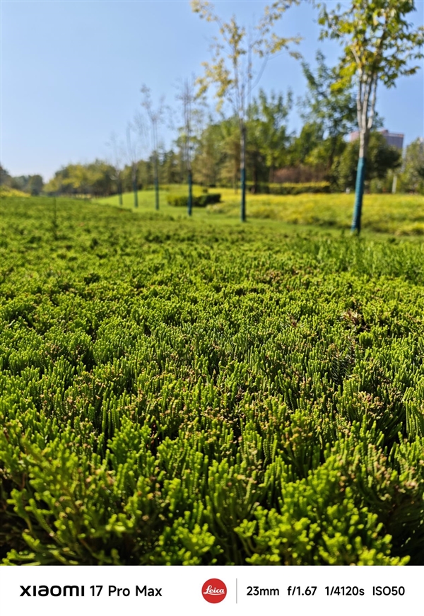 小米17 Pro Max評測：五年高端之路的集大成者