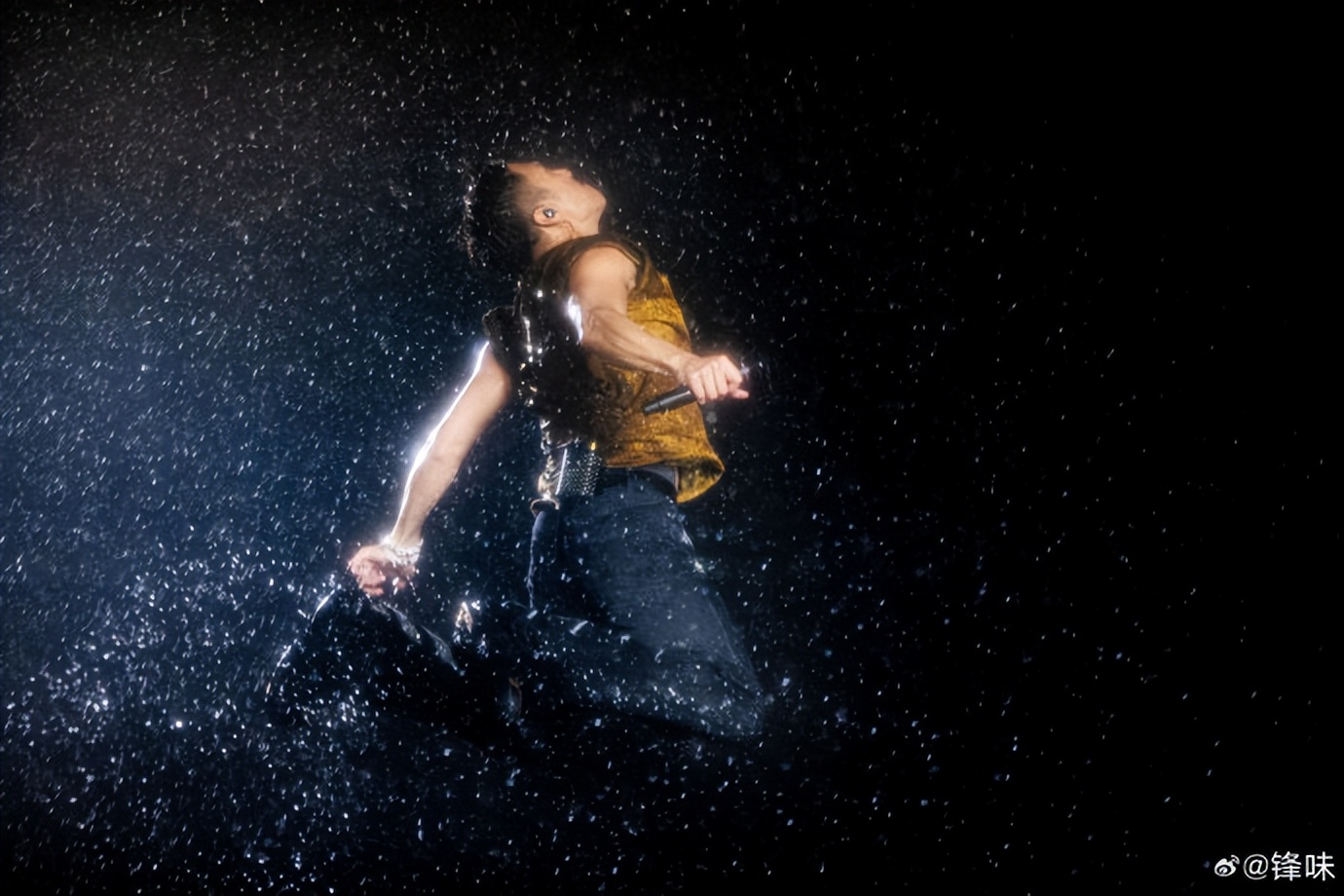 刘嘉玲调侃谢霆锋：广州暴雨为何不暂停演唱会？谢霆锋回复超搞笑