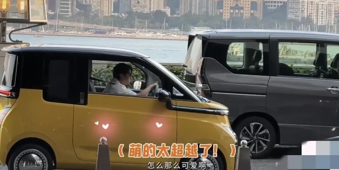 王祖蓝的玩具车接驾记：陈赫笑到扶墙，张智霖躺赢热搜
