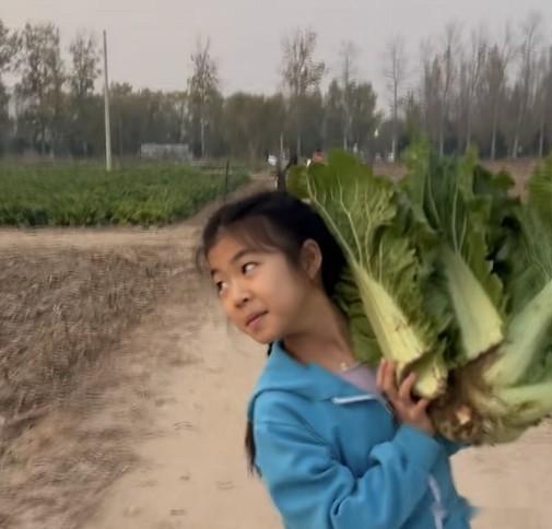 汪峰带9岁女儿挖地瓜,醒醒和爸爸抢铁锹,扛着白菜,力气好大