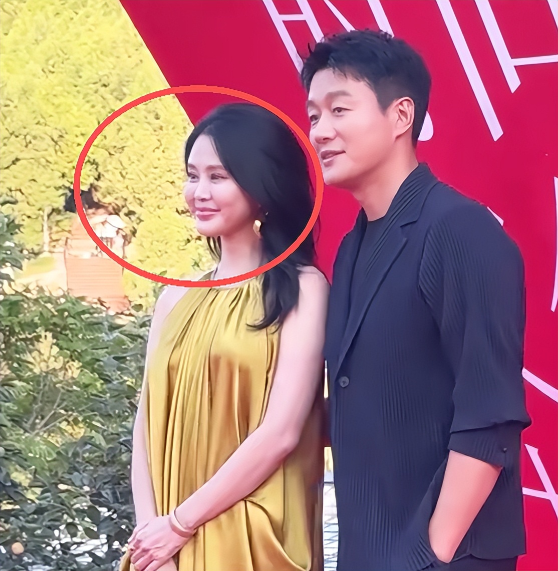 北京红毯:董璇脸肿皱纹多,董洁像微商女,佟大为老婆发福好明显