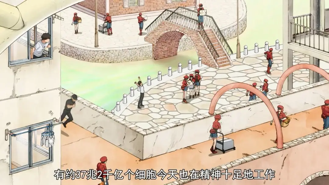 央视力挺的顶流，刚回归就爆了