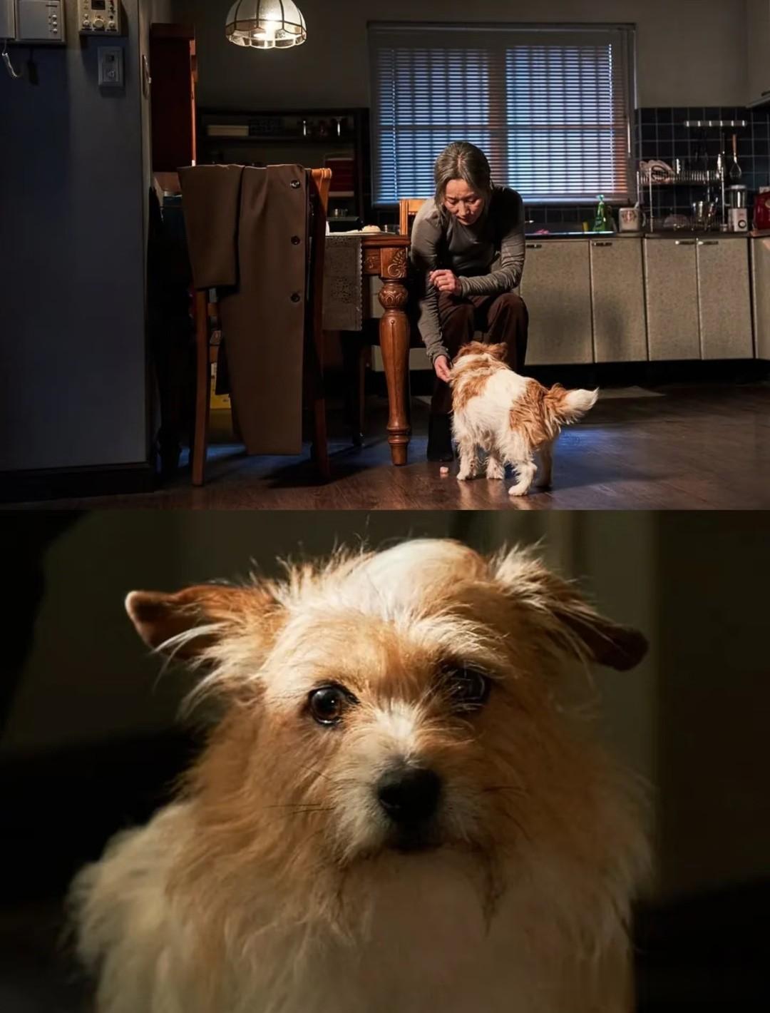 青龙孙艺珍拿影后，韩网友不忿：李慧英可以直接走了