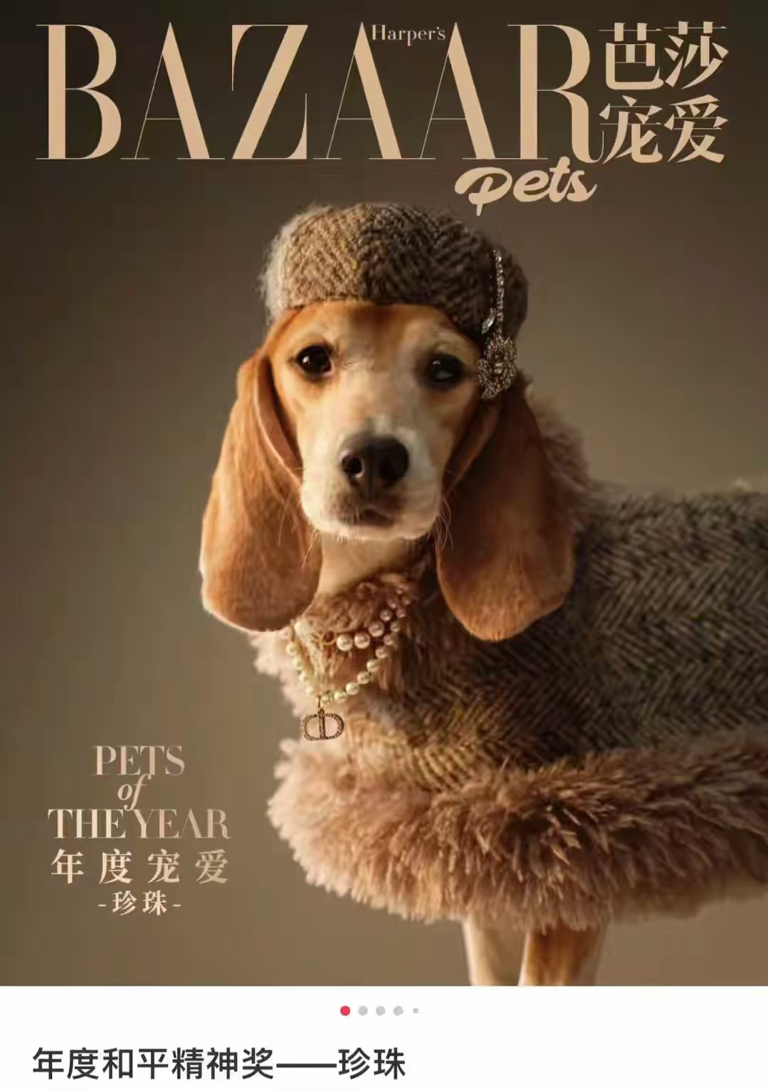 杜江也没想到,他退圈12年的老婆霍思燕,如今让世界再次刮目相看