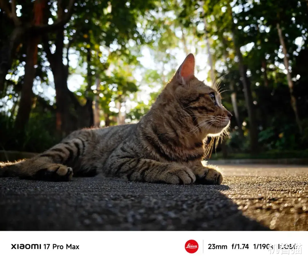 你的手机,正在成为电影机